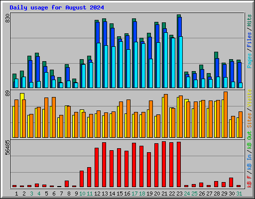 Daily usage for August 2024