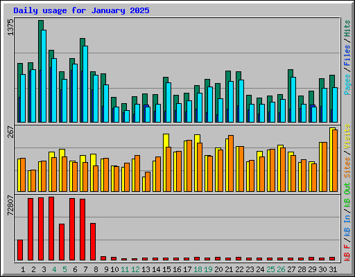 Daily usage for January 2025