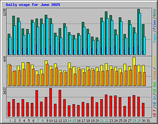 Daily usage for June 2025