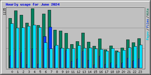 Hourly usage for June 2024