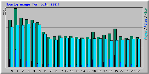 Hourly usage for July 2024