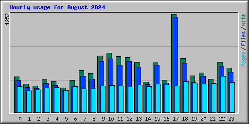 Hourly usage for August 2024