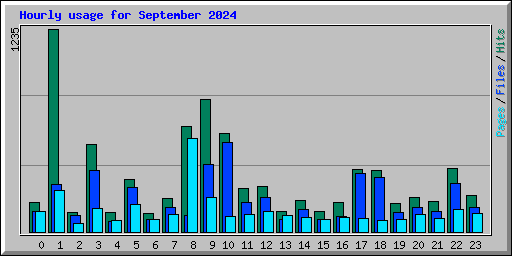 Hourly usage for September 2024