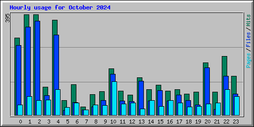 Hourly usage for October 2024