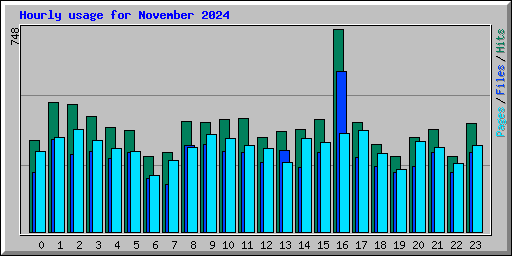 Hourly usage for November 2024