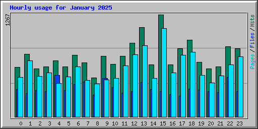 Hourly usage for January 2025