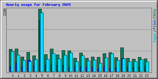 Hourly usage for February 2025