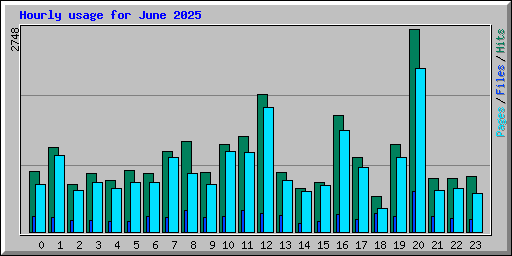 Hourly usage for June 2025