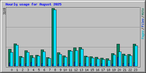 Hourly usage for August 2025