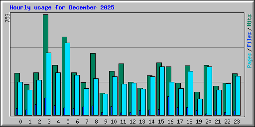 Hourly usage for December 2025