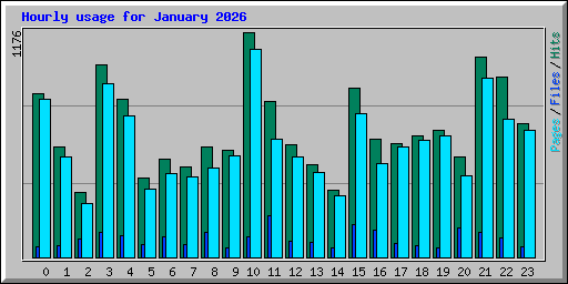 Hourly usage for January 2026