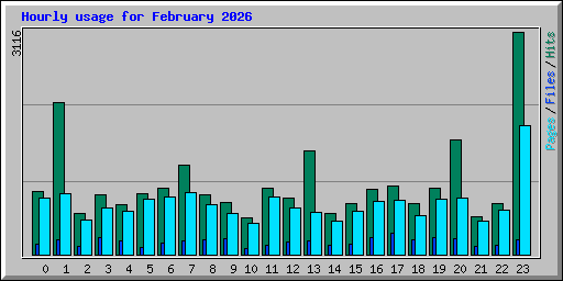 Hourly usage for February 2026