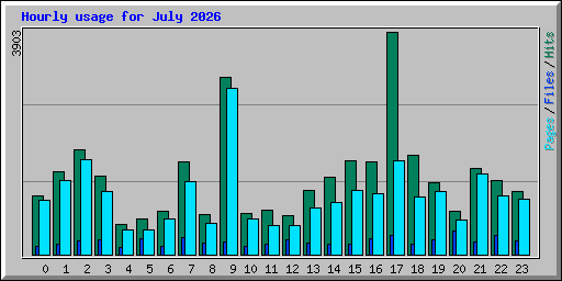Hourly usage for July 2026