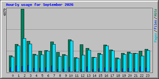 Hourly usage for September 2026