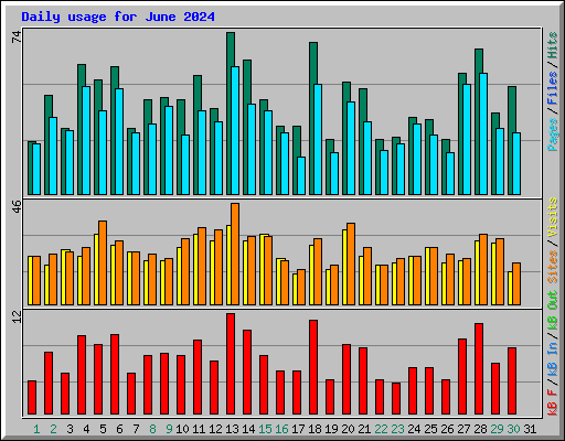 Daily usage for June 2024