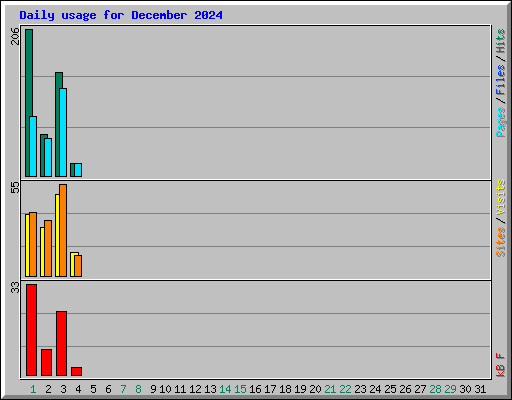 Daily usage for December 2024