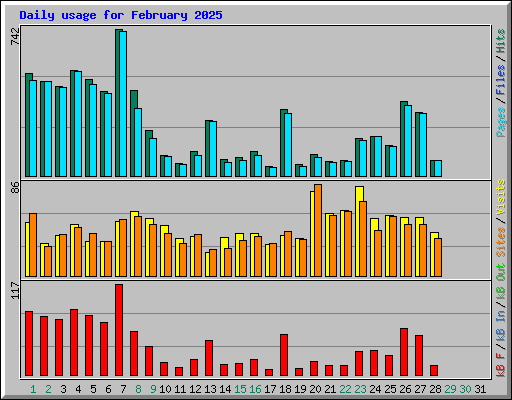 Daily usage for February 2025