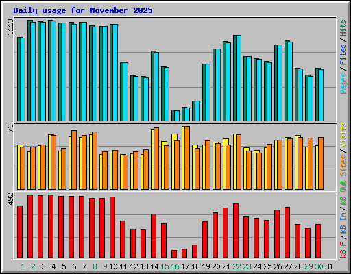 Daily usage for November 2025
