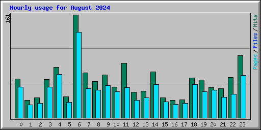 Hourly usage for August 2024