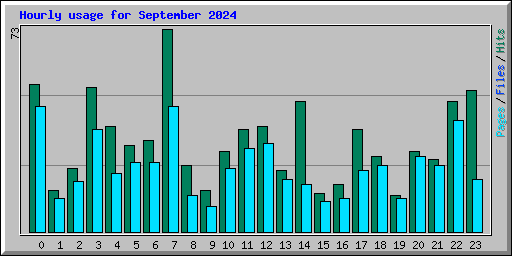 Hourly usage for September 2024