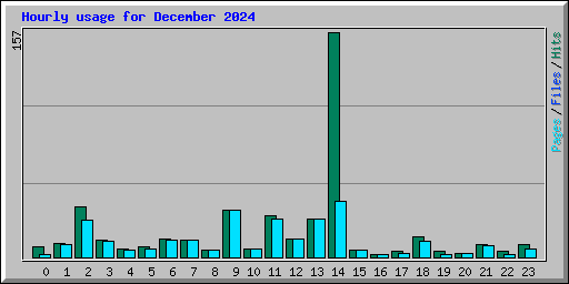 Hourly usage for December 2024