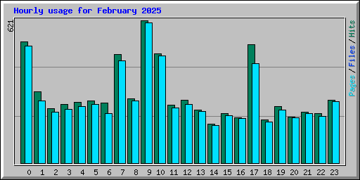 Hourly usage for February 2025