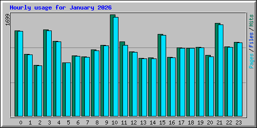 Hourly usage for January 2026