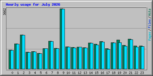 Hourly usage for July 2026